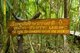 Thailand: Sign on the trail, Tung Tieo Forest Trail, Khao Pra - Bang Khram Wildlife Sanctuary, Krabi Province