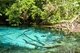 Thailand: Blue Pool, Tung Tieo Forest Trail, Khao Pra - Bang Khram Wildlife Sanctuary, Krabi Province