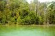 Thailand: Sra Kaew (Emerald Pool), Tung Tieo Forest Trail, Khao Pra - Bang Khram Wildlife Sanctuary, Krabi Province